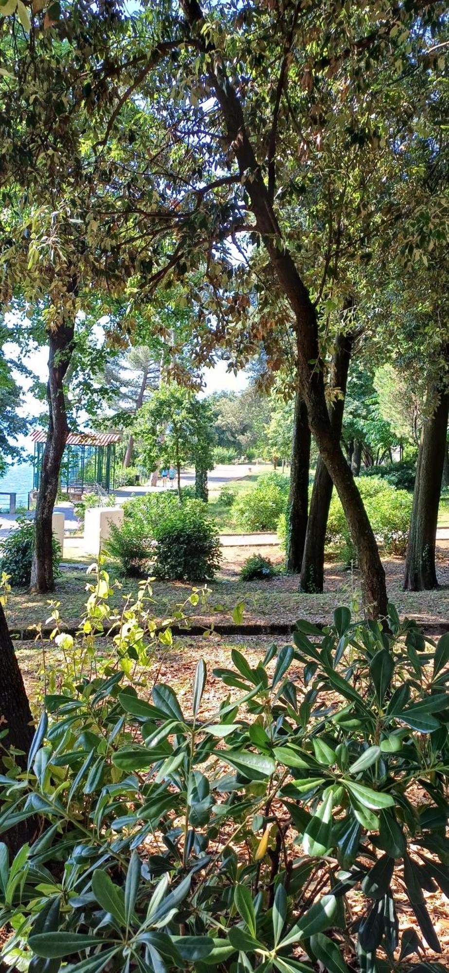 Gismondi * Ičići